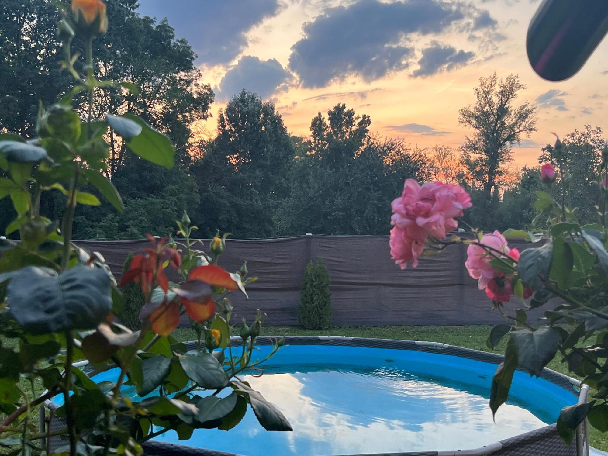 Arany Vendeghaz Villa ซาร์วาช ภายนอก รูปภาพ