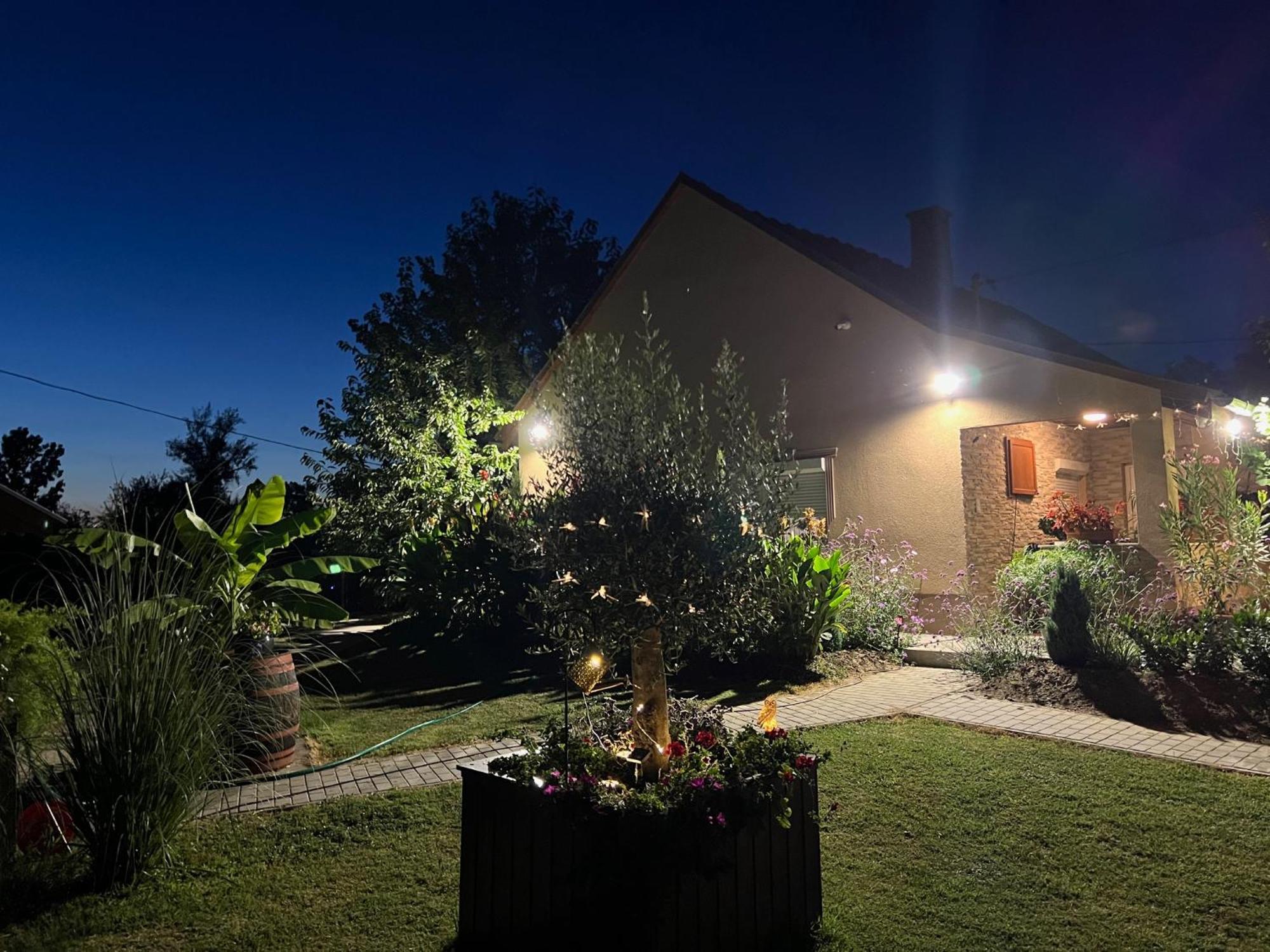 Arany Vendeghaz Villa ซาร์วาช ภายนอก รูปภาพ